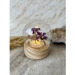 Világító Ametiszt szerencsefa