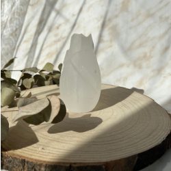 Szelenit tulipán